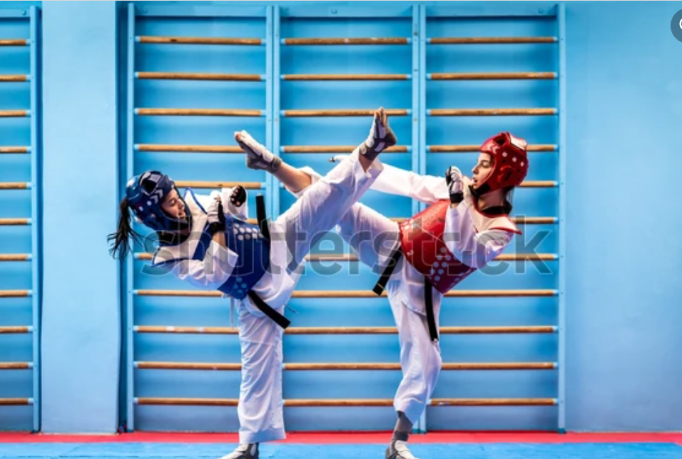 taekwondo for kids